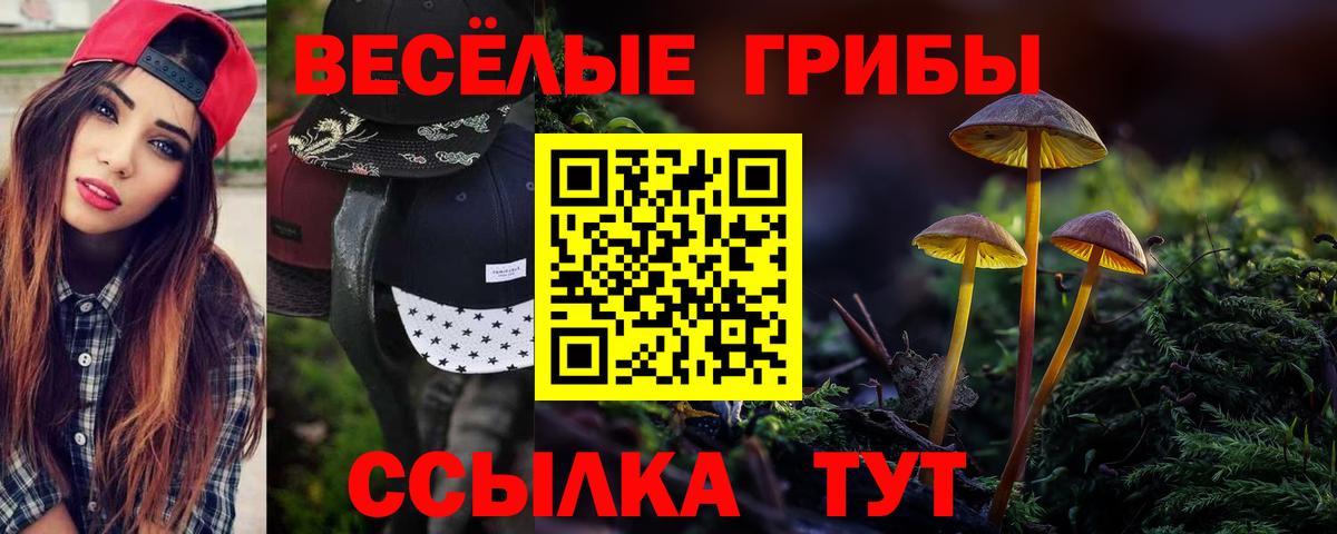 Псилоцибиновые грибы мухоморы Боровичи